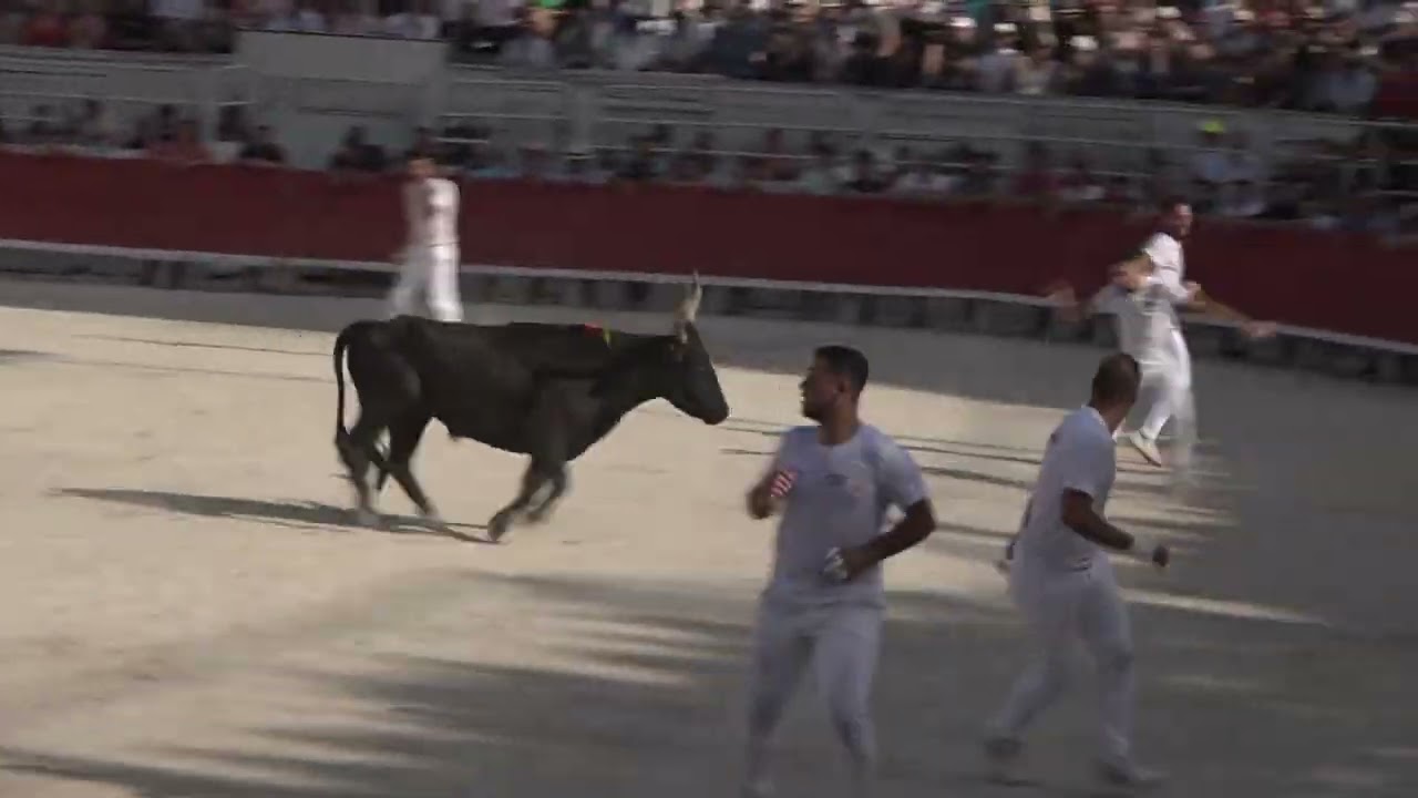 cocarde d'or 2022 arles 04