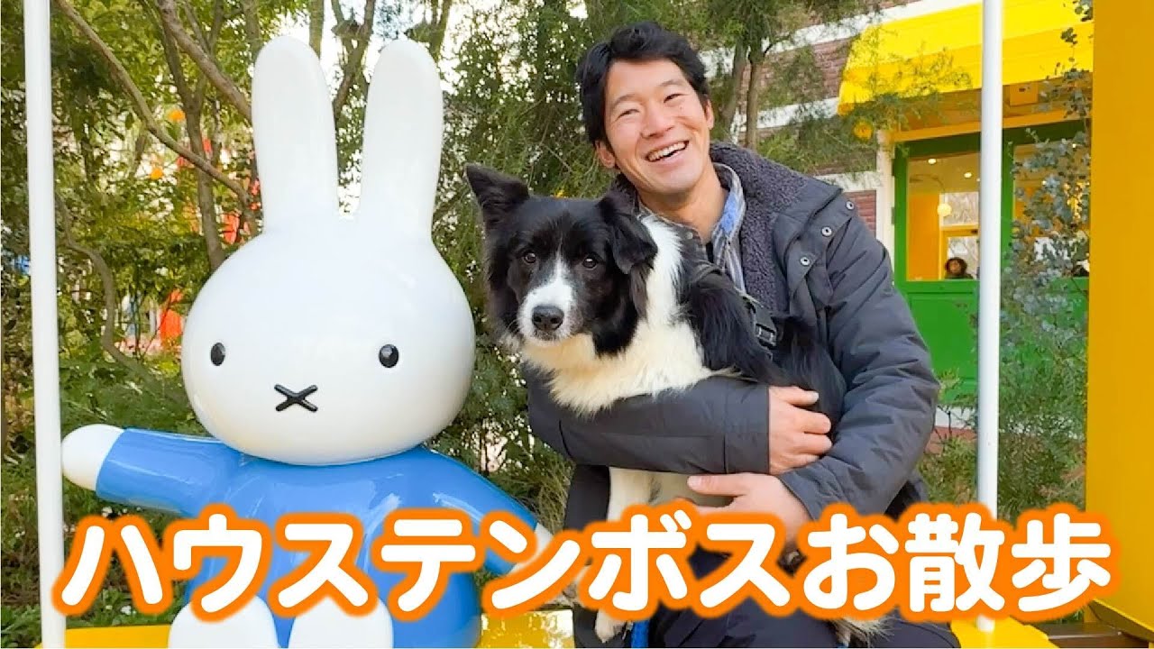 PAWワンコのメイちゃんとクリスマスのハウステンボスをお散歩してきました！