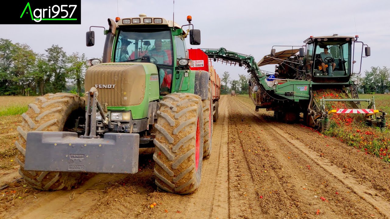TOMATOES HARVEST with 2x MTS SANDEI THR850 | RACCOLTA POMODORI con 2x THR 850, Fendt & John Deere