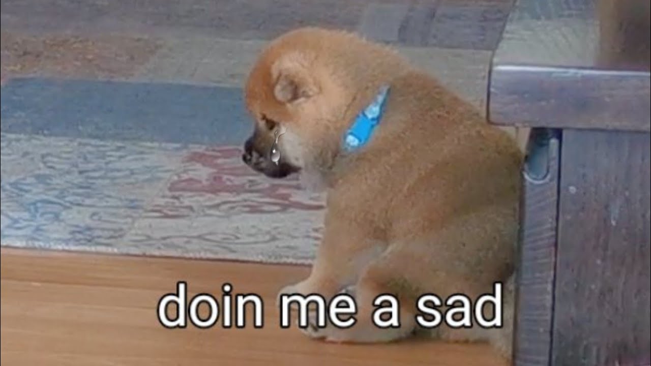 Daddo Hurt Potat's Feelings