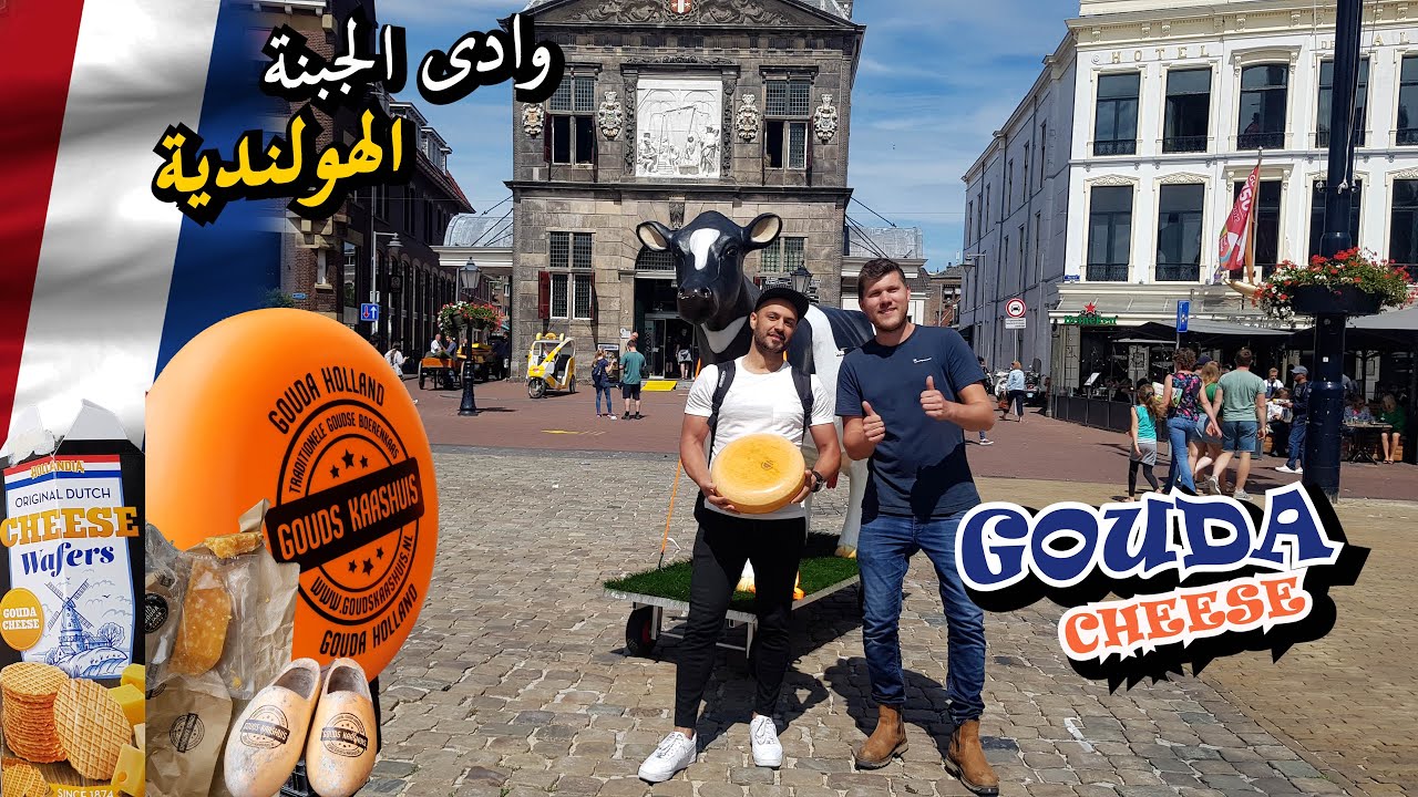 GOUDA CHEESE 🇳🇱 🧀 - اسرار الجبنة الهولندية وليه هى الافضل فى العالم