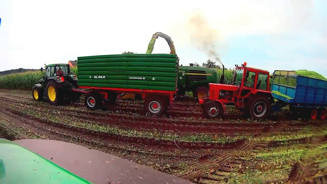 Kiszonka Z kukurydzy 2017 ( 4x John deere Steyr Massey ferguson Jcb Mtz )