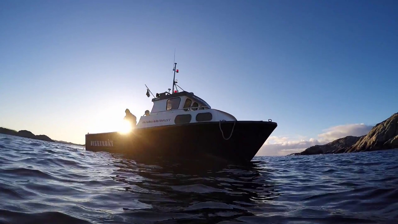 Dykking på Sotra - Januar 2018 - Stavanger Dykkerklubb