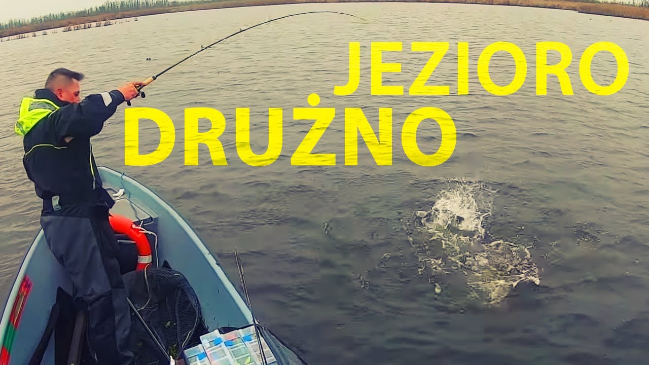 Szczupaki z bardzo płytkiego jeziora - Drużno