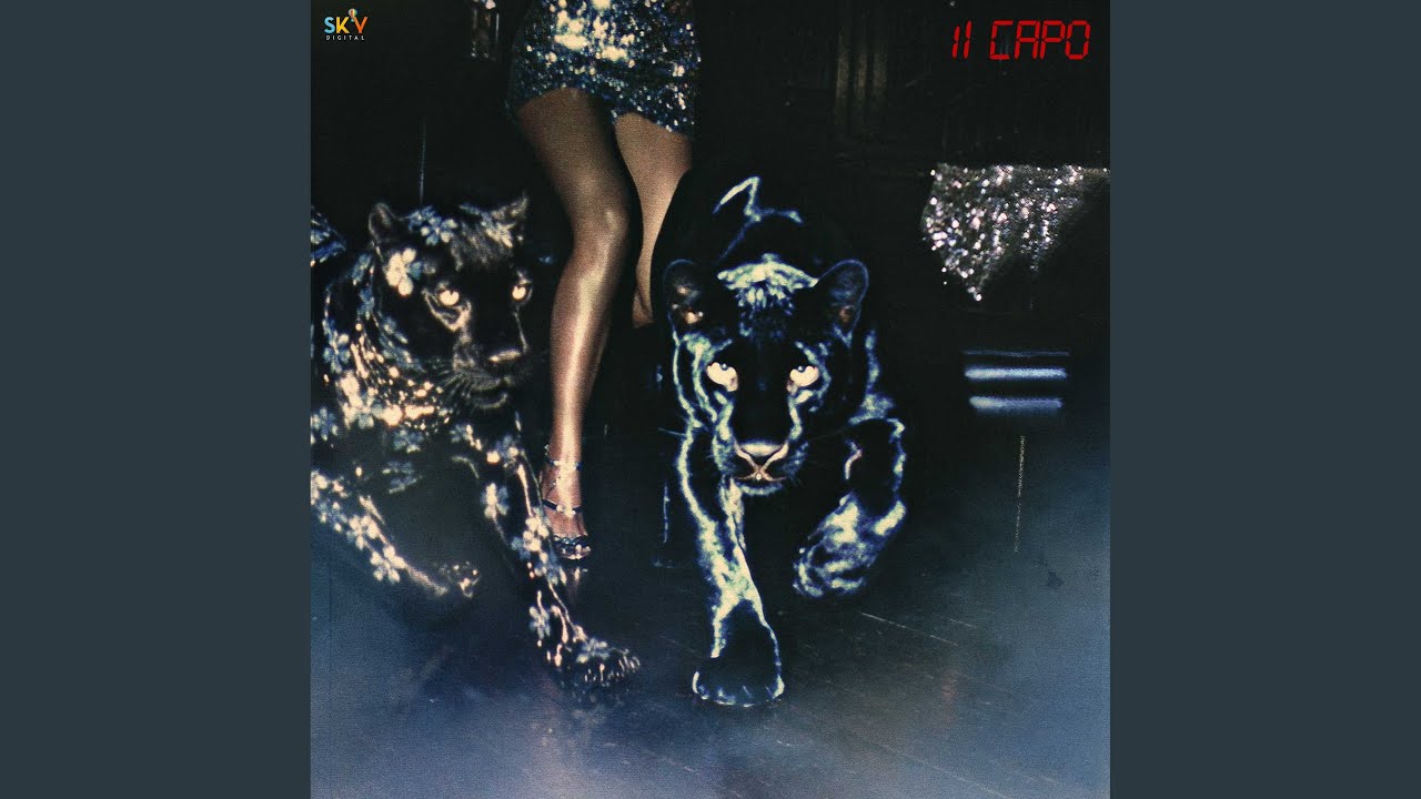 Il Capo