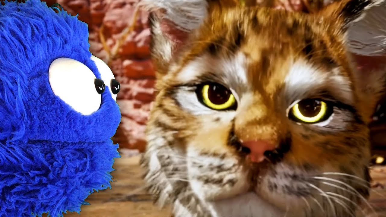 ДАААА, уже больше кошачьих тем для разговора!!
