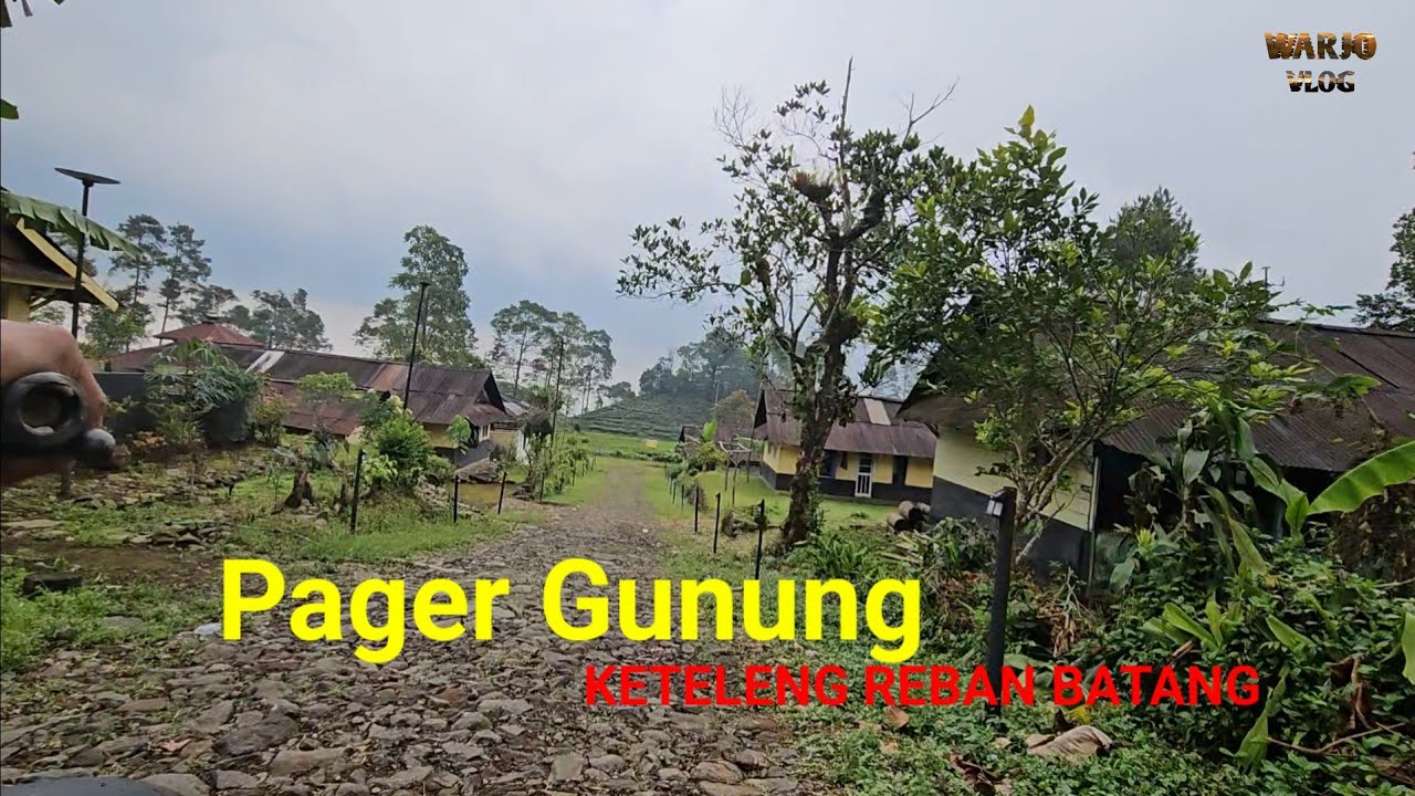 DESA PENINGGALAN BELANDA DI PERKEBUNAN TEH PAGILARAN BLADO BATANG