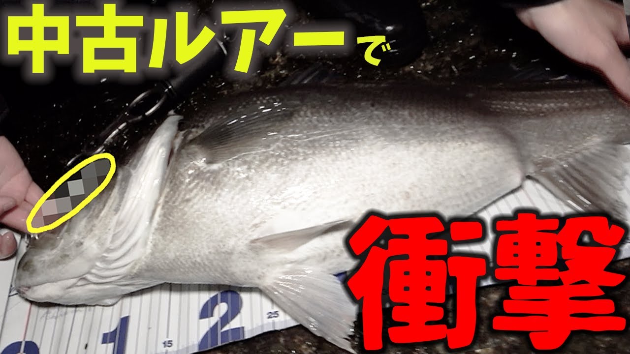 激安の中古ルアーで釣りをしたらヤバいのが釣れた...