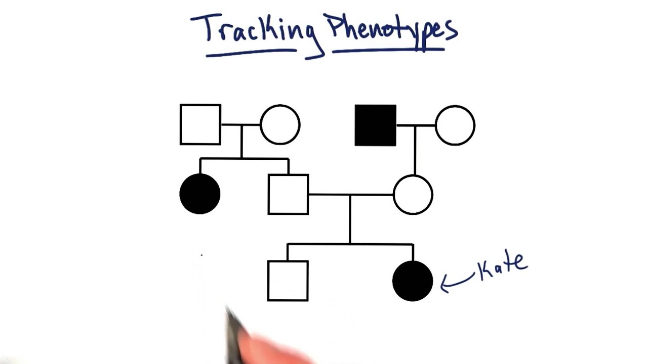 Tracking Phenotypes - Tales from the Genome