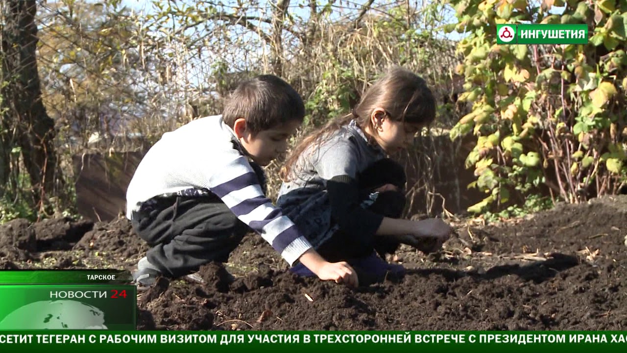 Тарское Возвращение домой