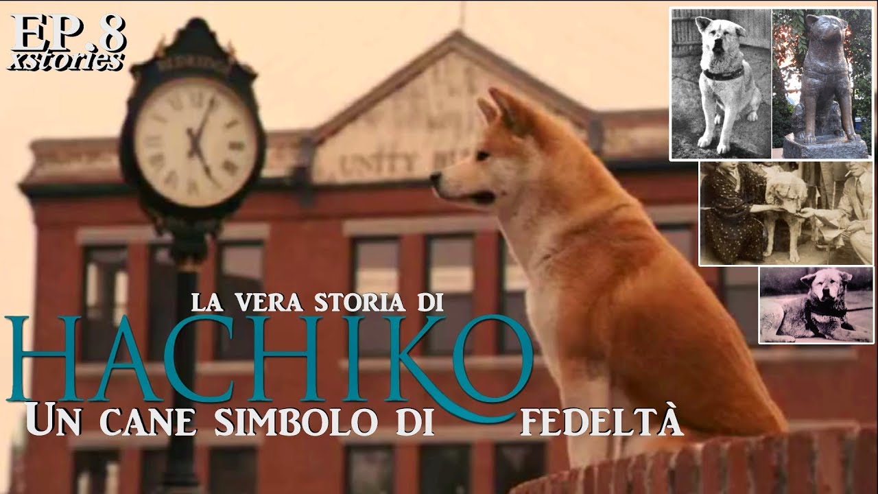 HACHIKO - Un Cane simbolo di fedeltà - La vera Storia di Hachiko - xStories