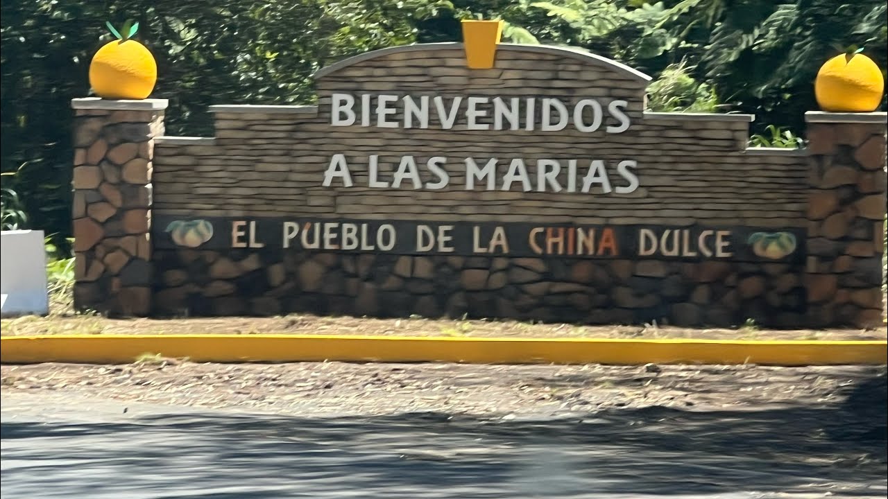 ￼festival d e la china 2026 🍊🍊🍊🍊🍊