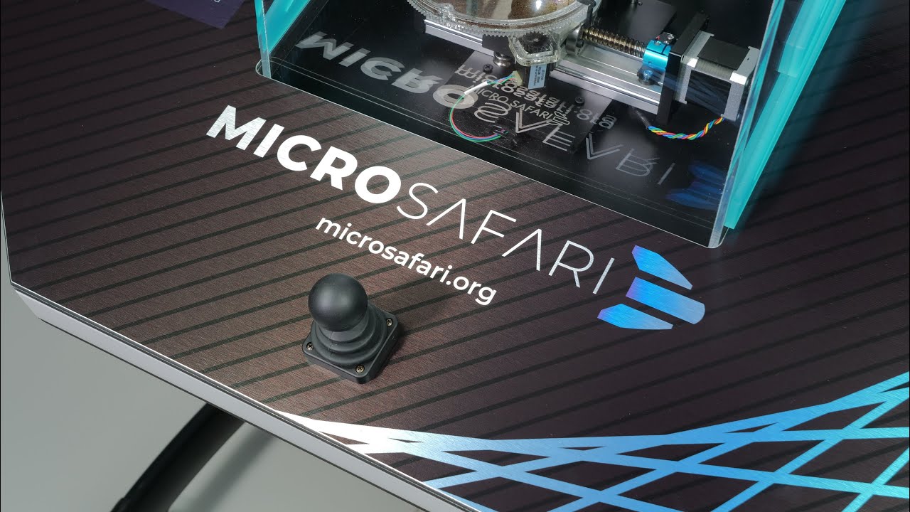 Introducing the Micro Safari Museum Exhibit