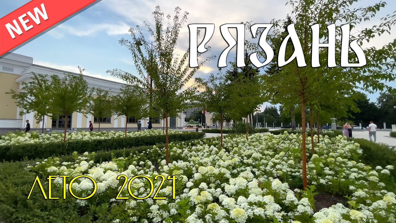 Клип. Рязань 2024