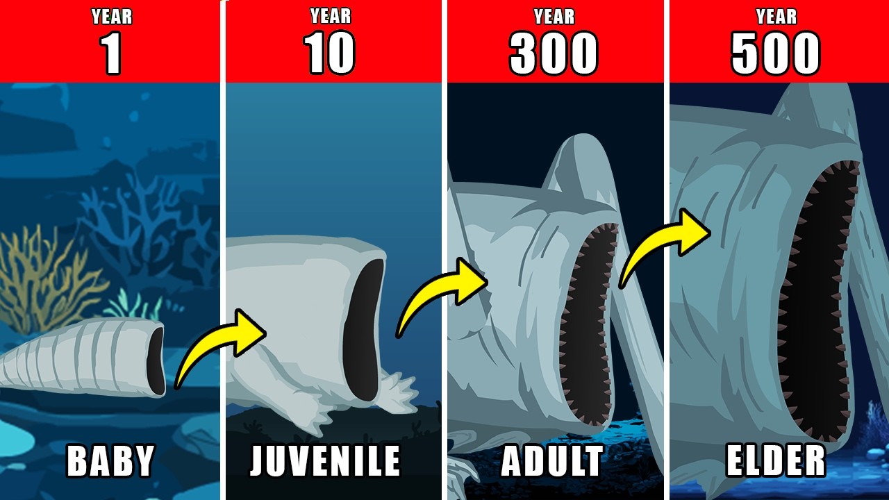 500 Years of Sea Eater Life Documentary: How Sea Eater Might Have Lived