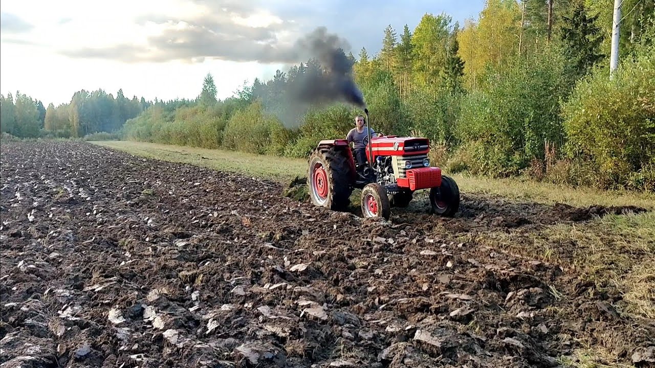 Massey Ferguson 175 Turbo Plowing/Kyntöä