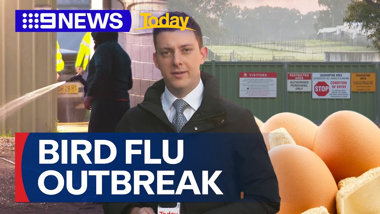 Bird flu strain discovery forces Sydney egg farm into bio lockdown | 9 News Australia