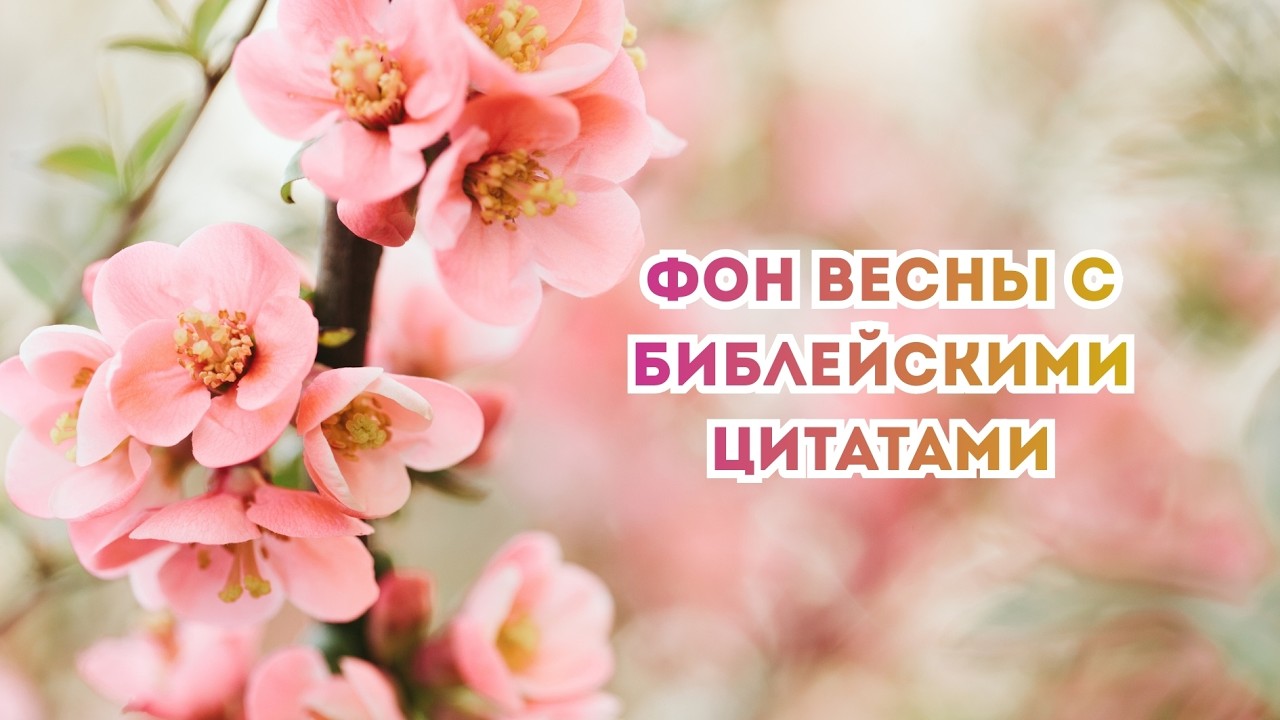 Фон весны с библейскими цитатами