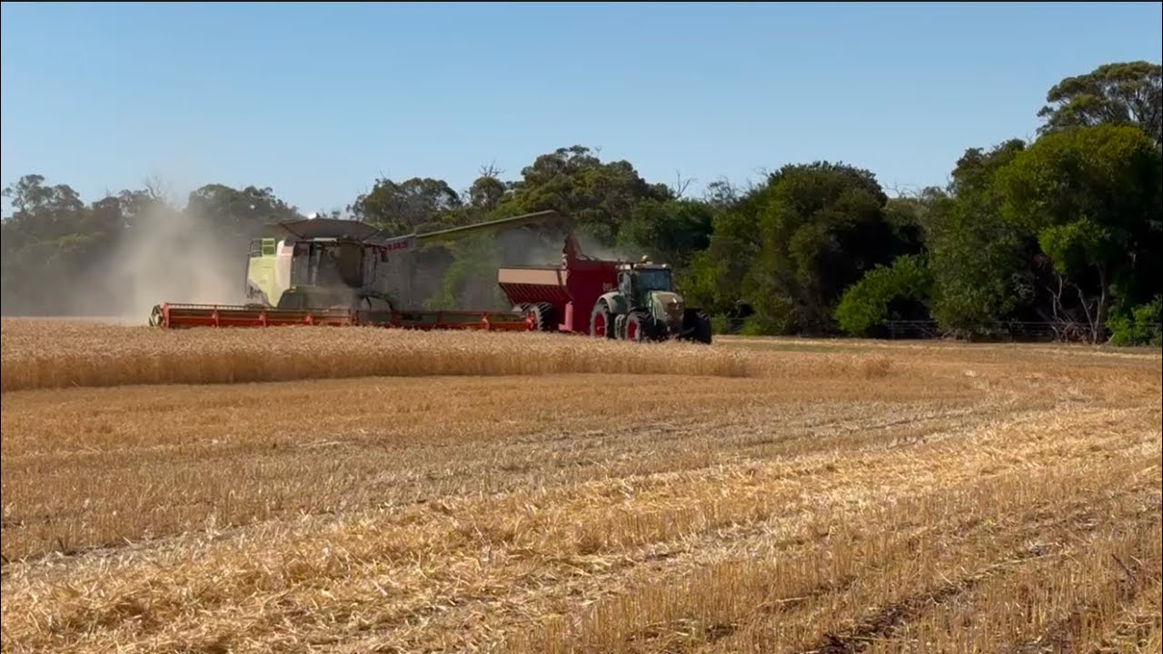 Harvest Days on the Farm | Western Australia 2025