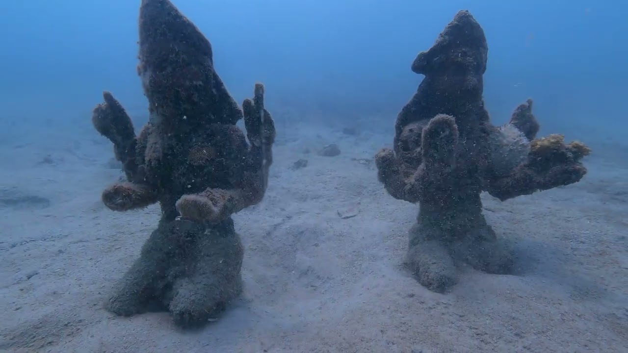 Nemo Beach