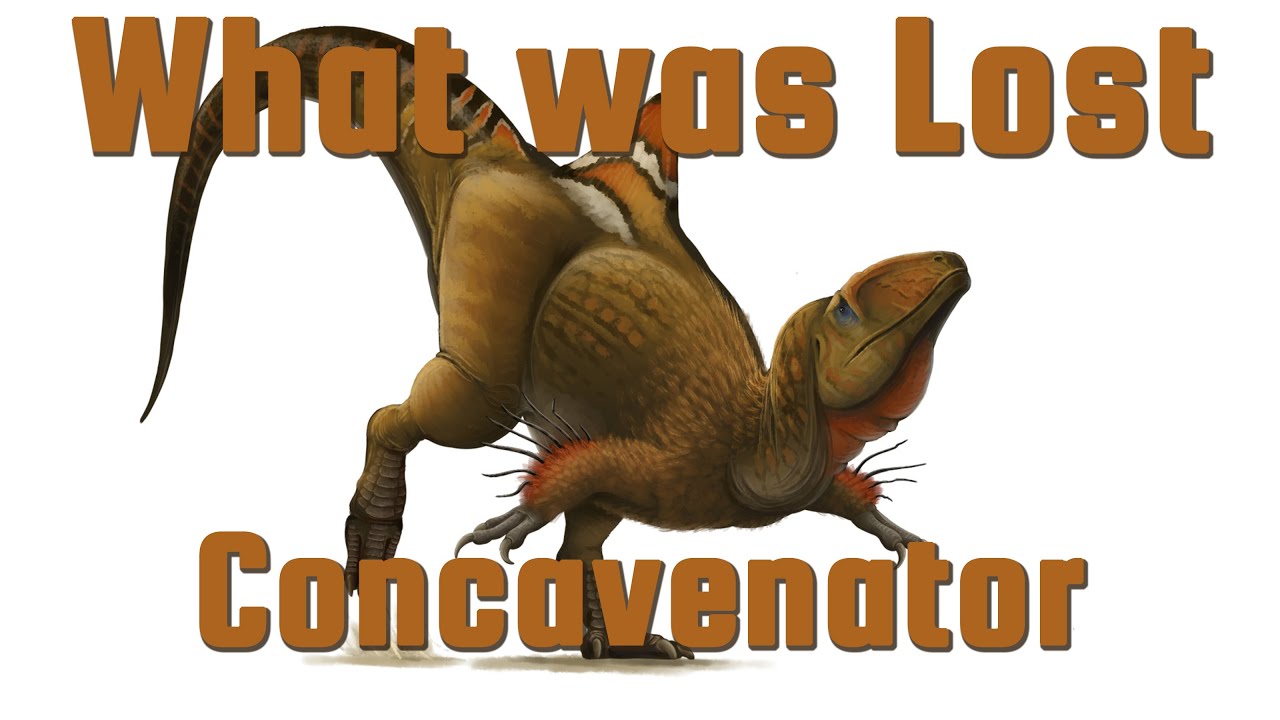 Concavenator - The Humpbacked Dinosaur - What Was Lost Ep.17