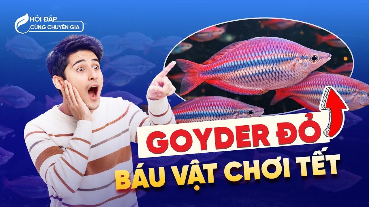 Rước 