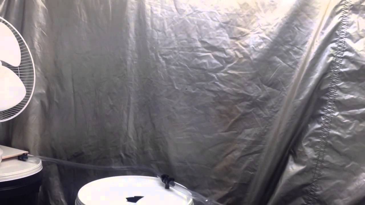 Cheap RDWC build. Cfl grow room.
