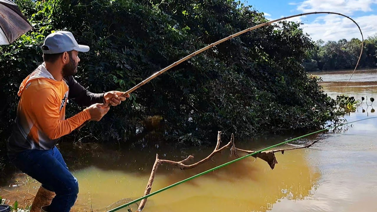 PESCARIA DE PIAU 3 PINTAS GIGANTE , CADA ISCA UMA EMOÇÃO/MELHOR ISCA PARA PESCAR PIAU 3 PINTAS.