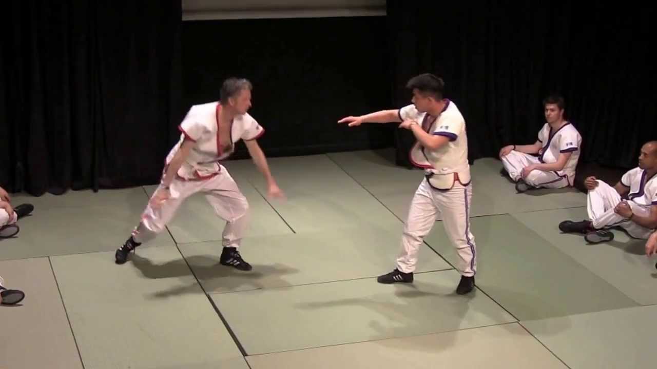 NAMT 2013 avec Yuan Zumou 袁祖谋Shoubo
