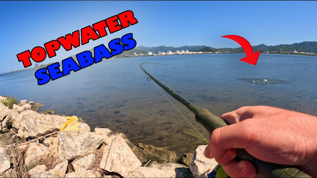 Spinning for Seabass in Croatia pt.1 (Ribolov Brancina)