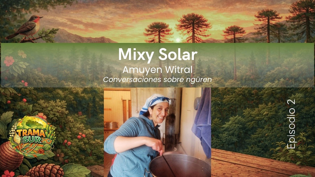 Episodio 02 -  Entrevista Ngurekafe Mixy Solar