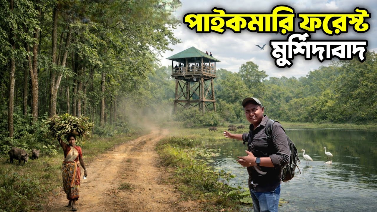 মুর্শিদাবাদ জেলার অচেনা এক জঙ্গল || পাইকমারি ফরেস্ট || Paikmari Forest || Domkal Forest ||