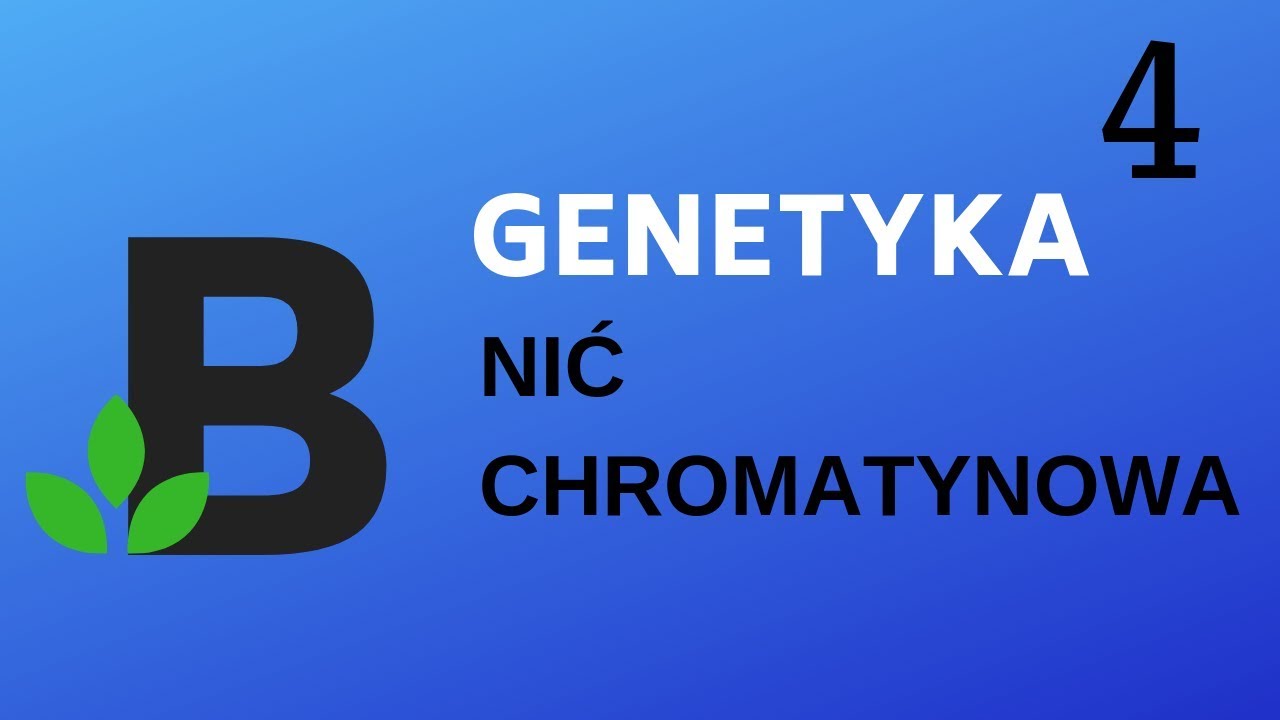 czym jest NIĆ CHROMATYNOWA - genetyka - KOREPETYCJE z BIOLOGII - 196