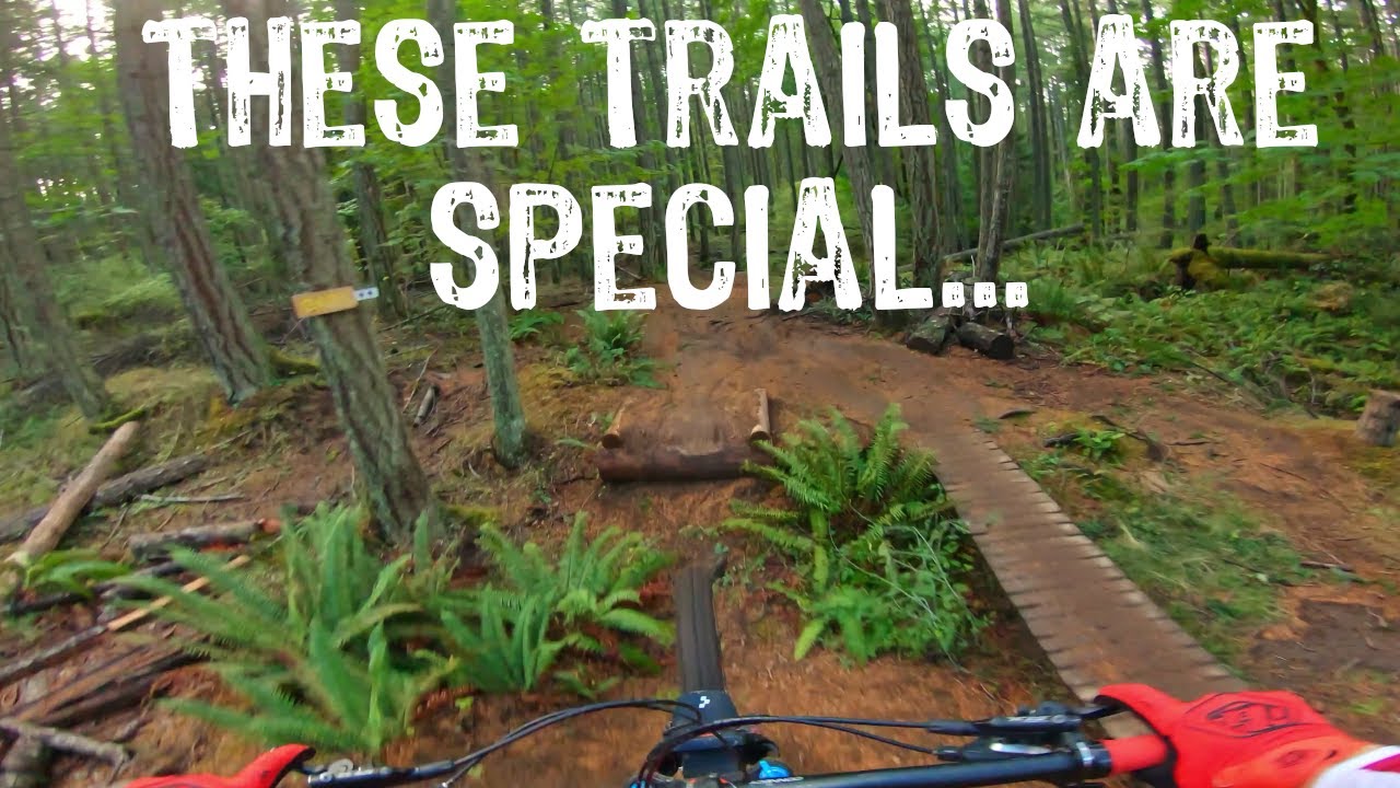 What Makes a Great Mountain Bike Trail? (4K) // Double D, Mt. Tzouhalem 2021 // Cowichan Valley, BC