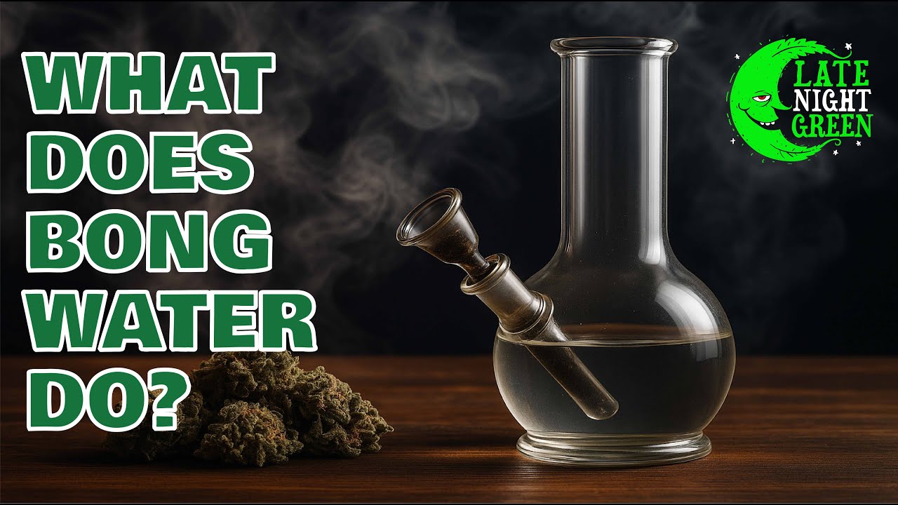 💨 Do Bongs Actually Filter Smoke? 💨