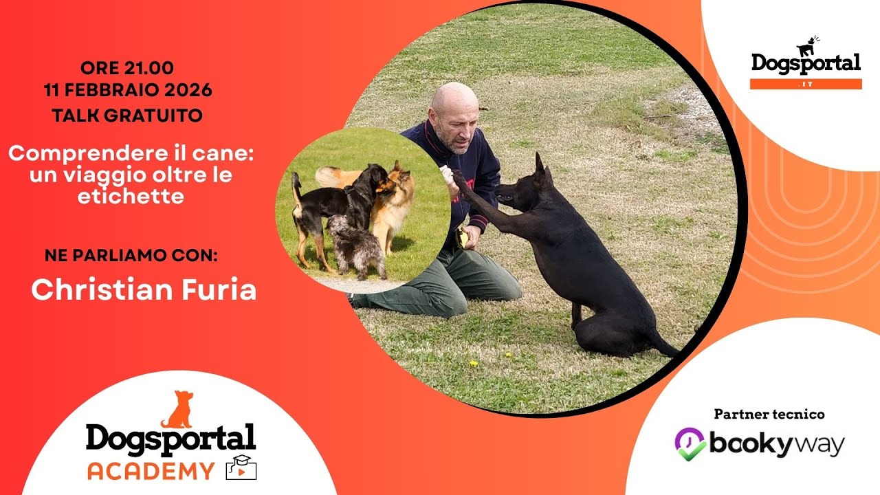 Comprendere il cane: un viaggio oltre le etichette con Christian Furia