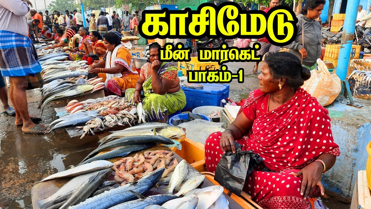 💥🐠காசிமேடு மீன் மார்க்கெட் 14.02.2026|Kasimedu Fish Market #kasimedu #vanagaram #viralvideos