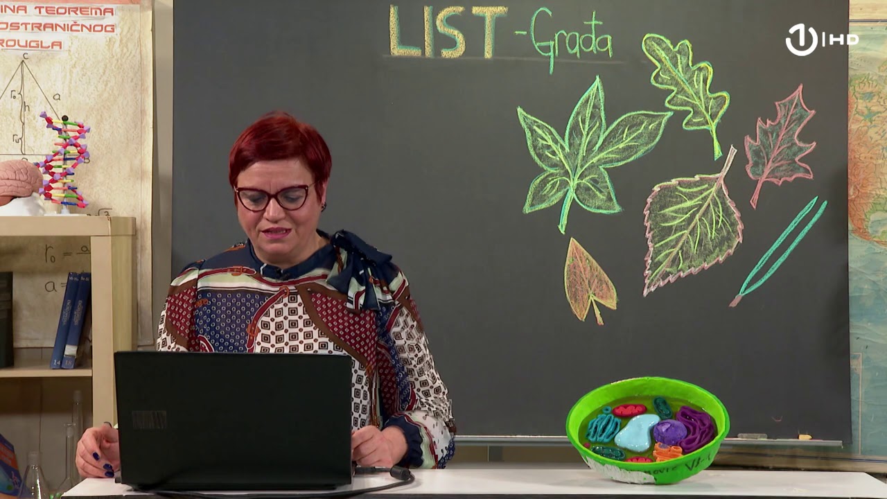 Domaća zadaća za 6. razred: Biologija - List – građa