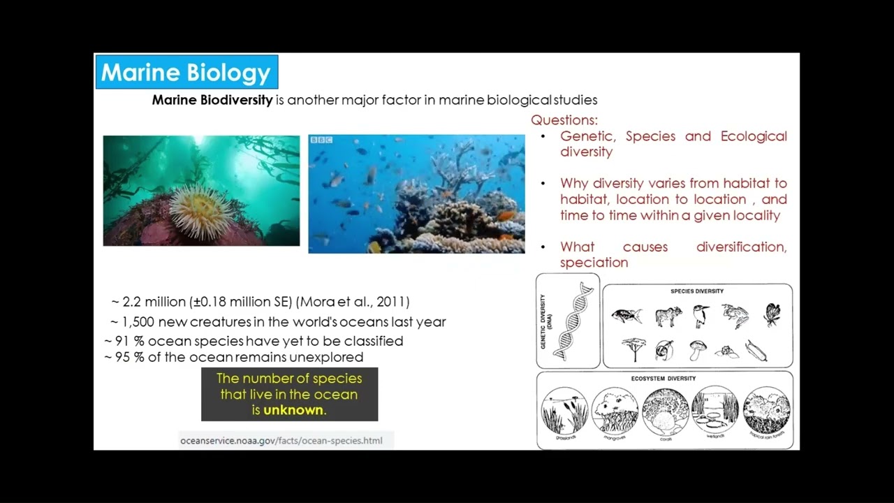 Part 1: What is marine biology