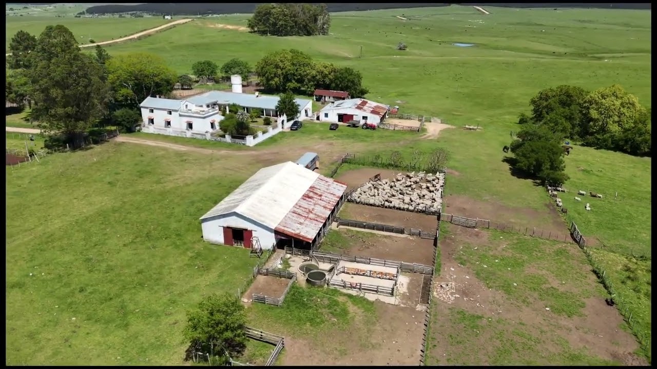 Estancia Los Molles Lavalleja Uruguay#campo #drone#paisaje.