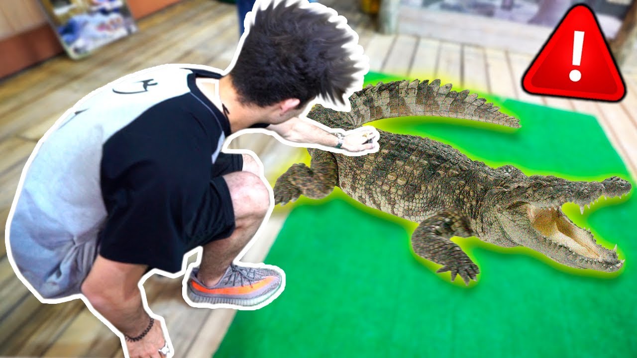 ENCONTRAMOS UM CROCODILO NA RUA