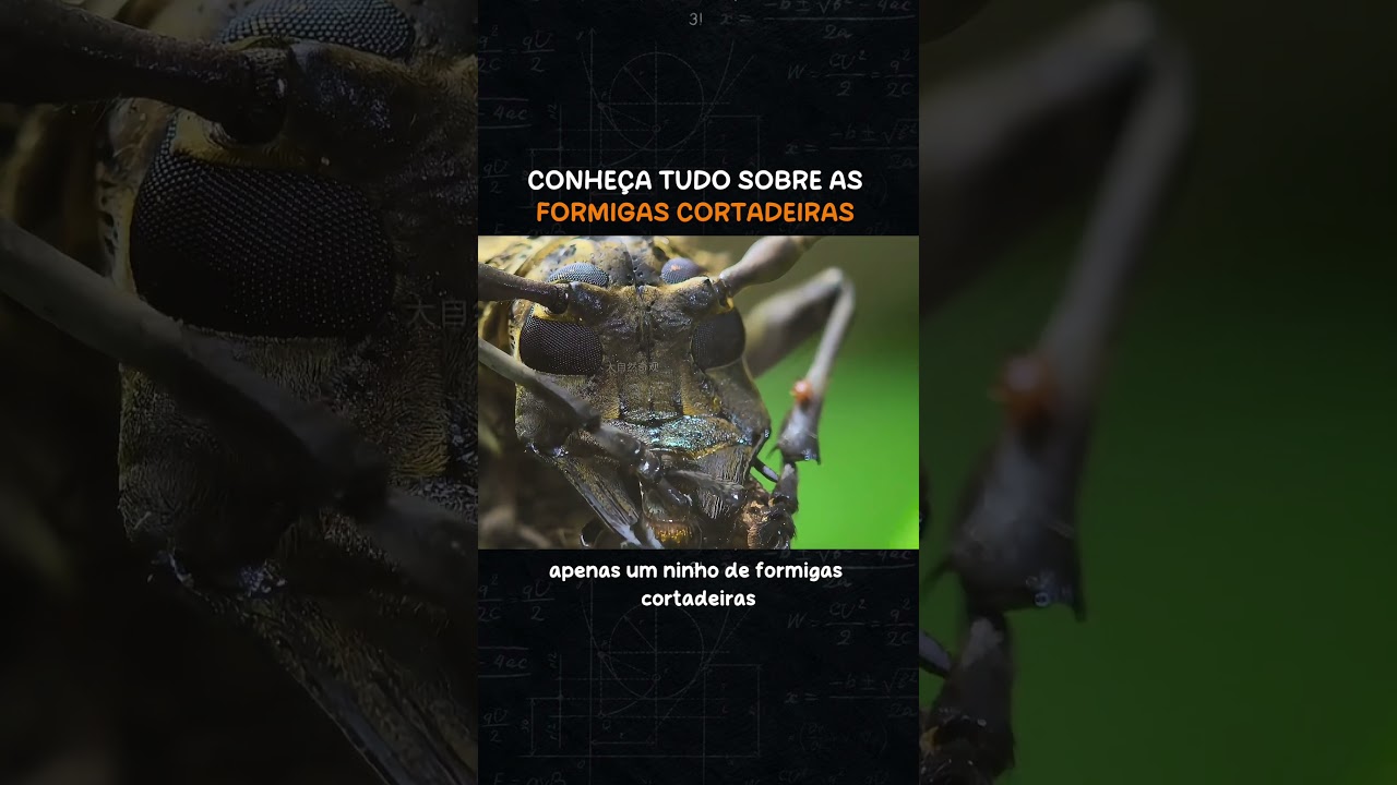 Parte 1 #curiosidades #curiosidadeanimal #curiosidadessobreanimais