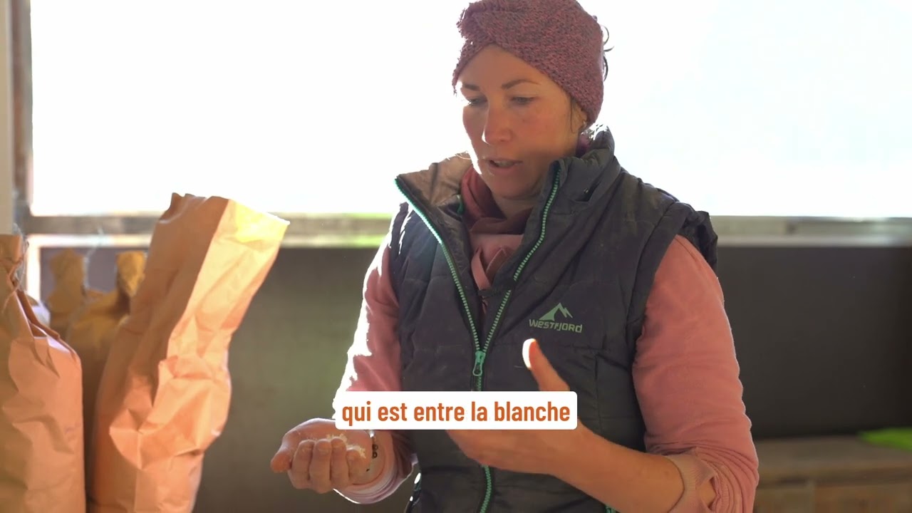 JUSTE D'ICI - un nouveau pain avec de la farine de Les Moulins | earlybeck