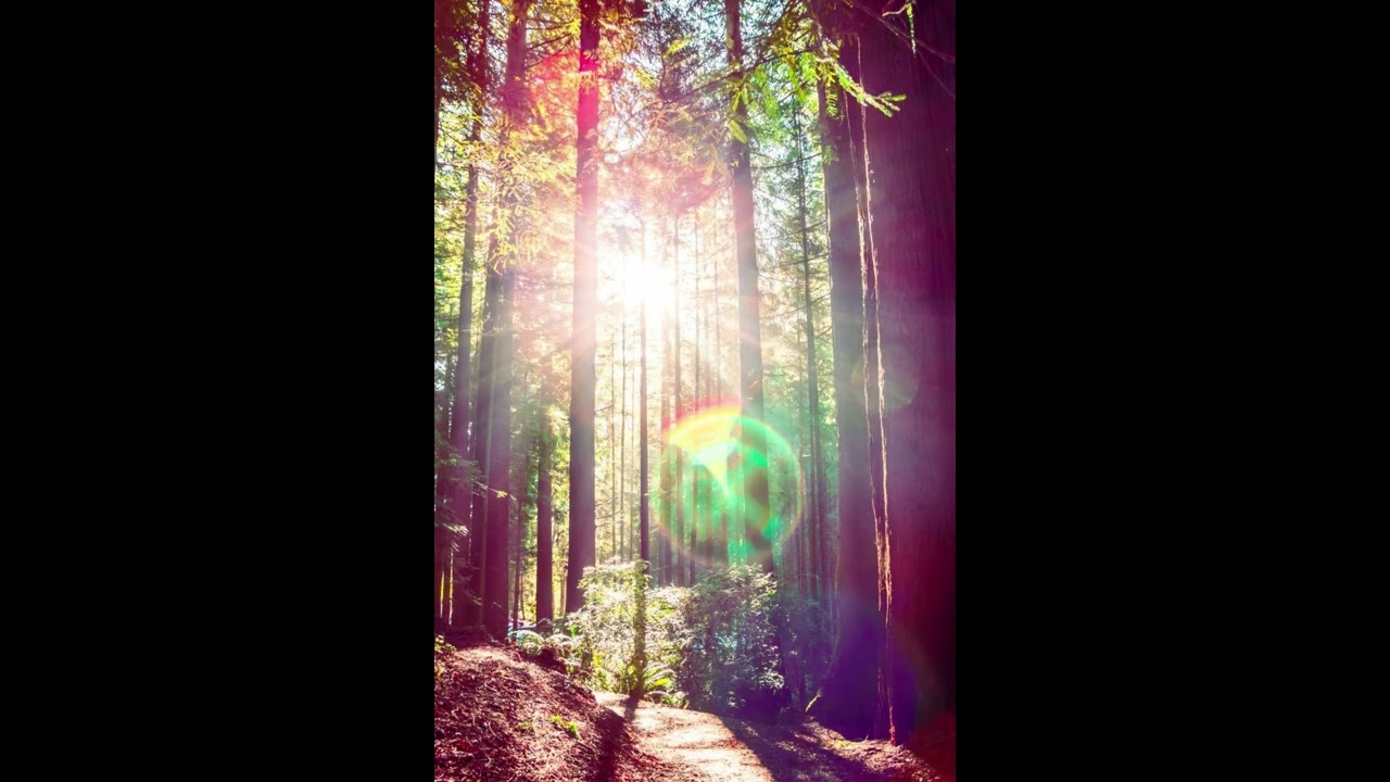 emeak - Nunca Vi Você Aqui (SlowBass+Reverb)