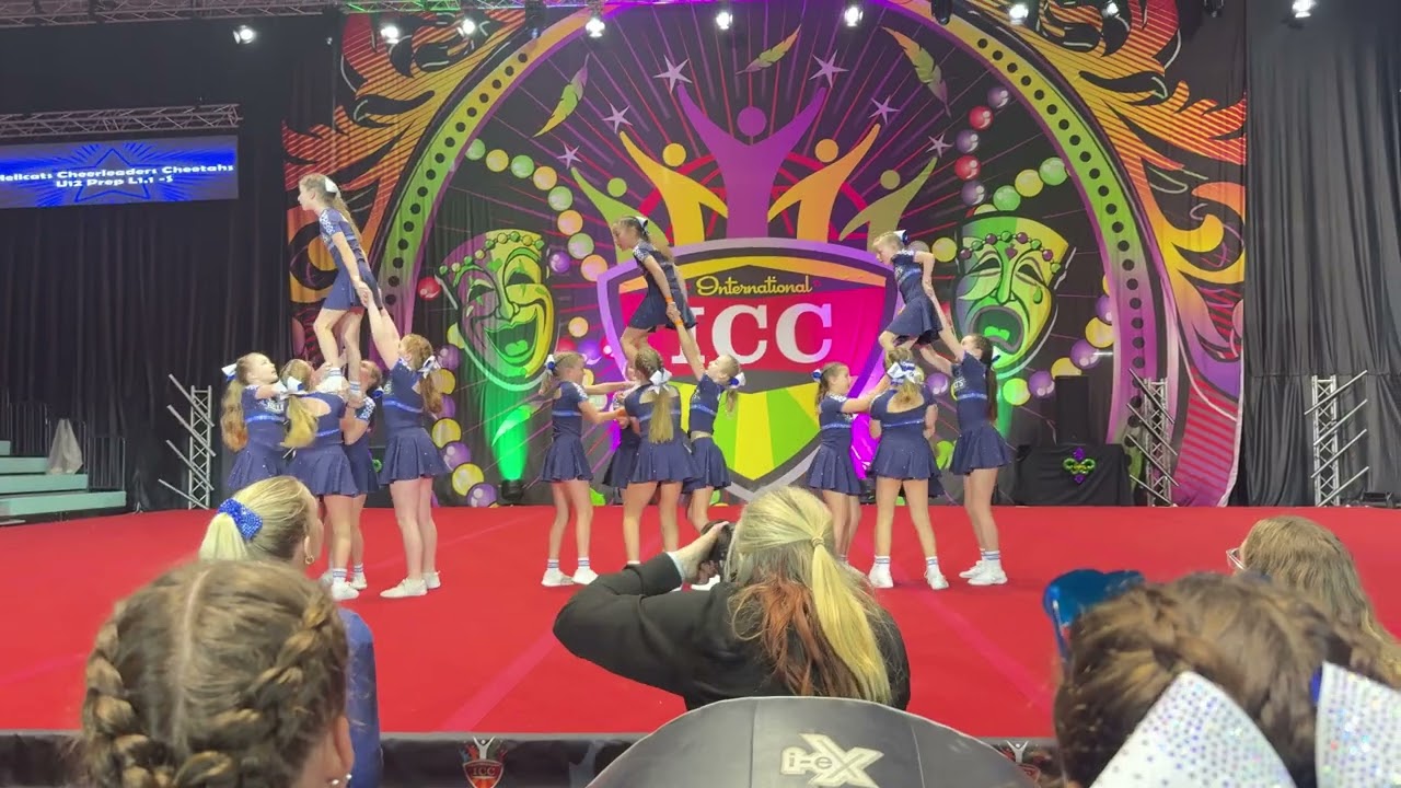 Cheetahs icc 2026