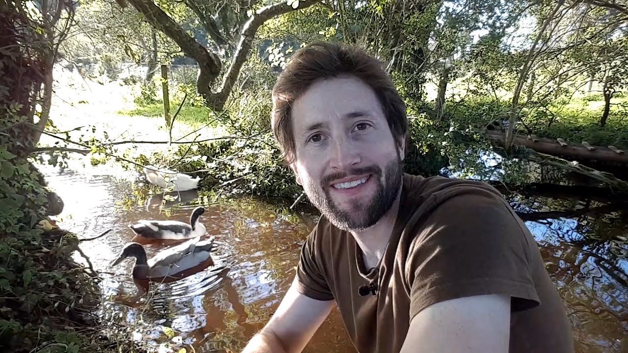 Indian Runner Ducks - Compilation