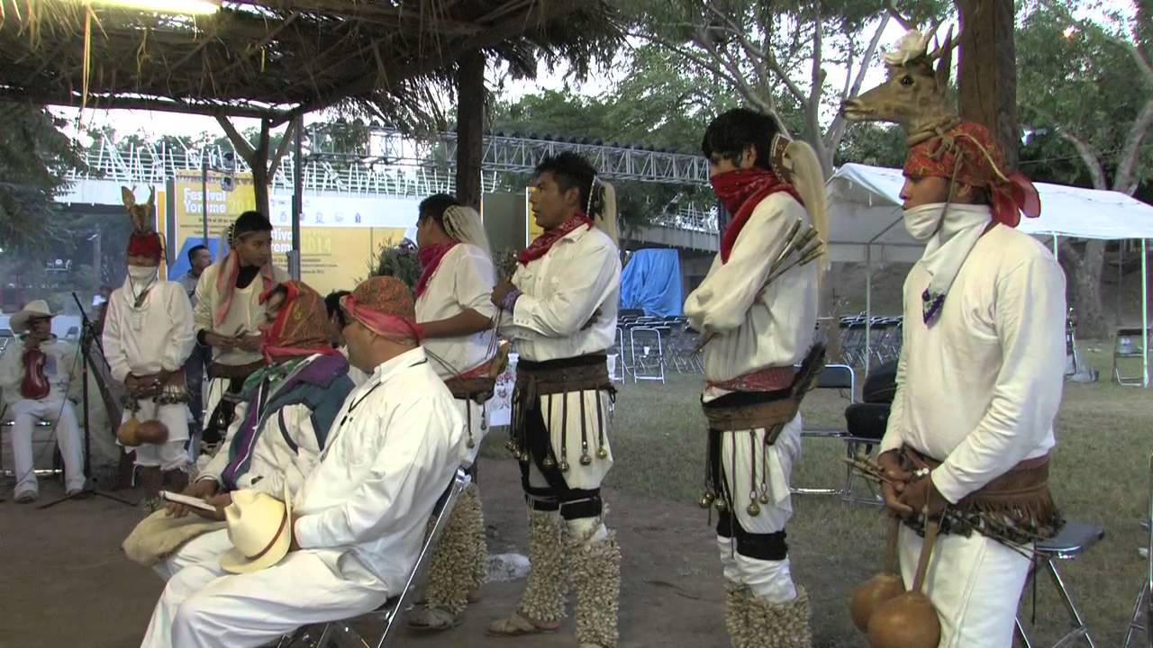 Con la Ceremonia del Alba, cierra Festival Yoreme Sinaloa 2014. (30 Noviembre 2014)