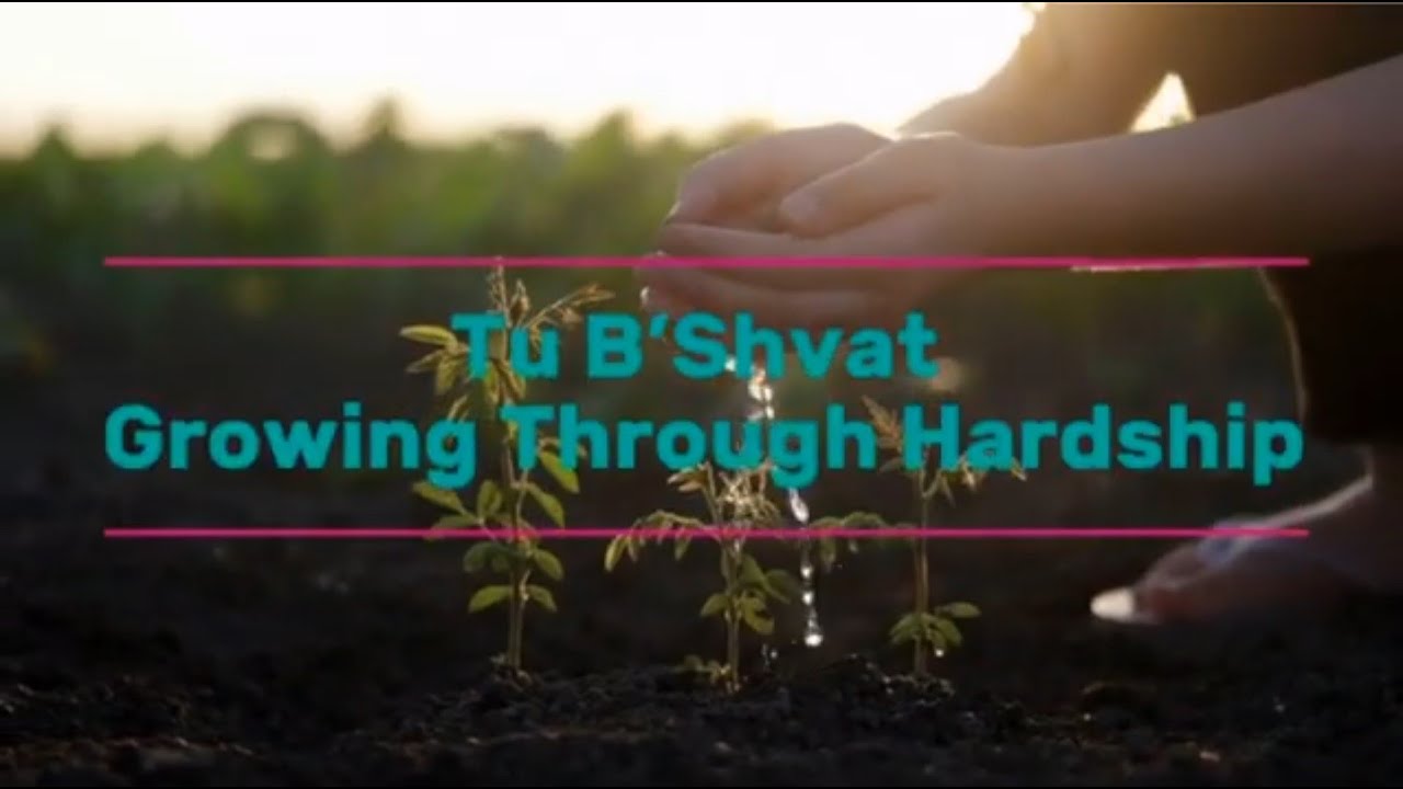 Tu B'Shvat | Growing Through Hardship