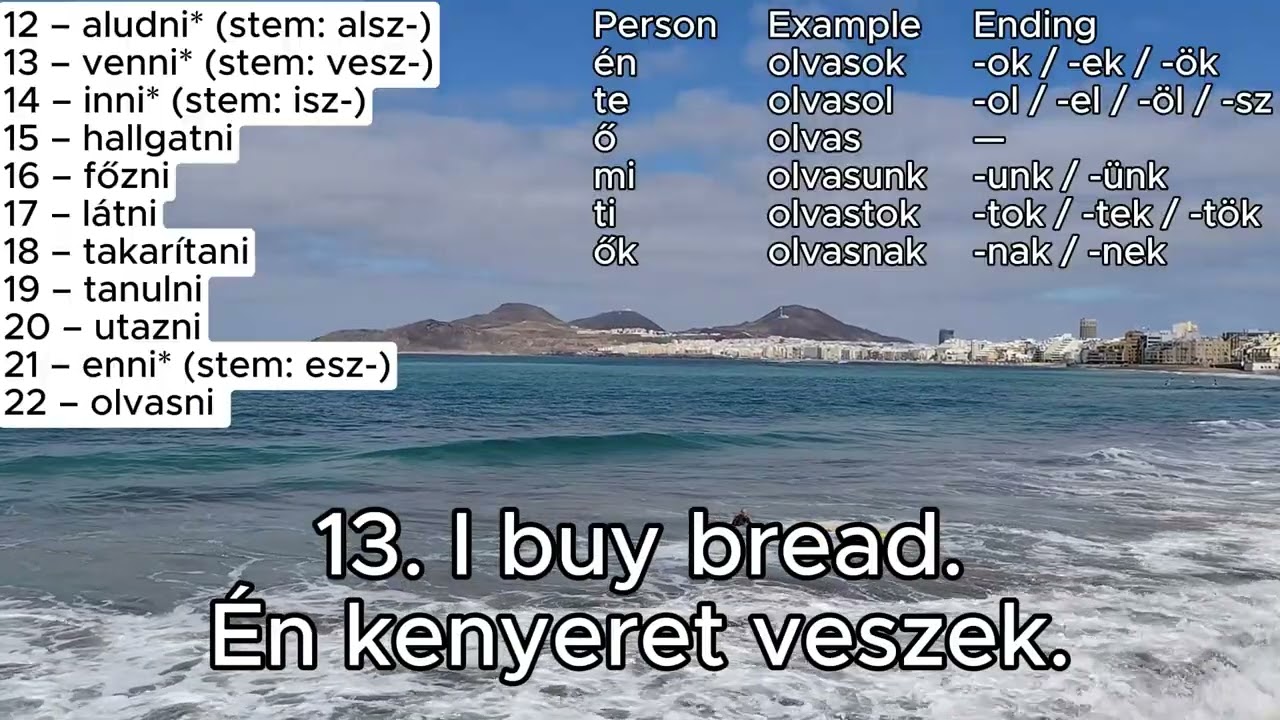 1. Hungarian Present Tense &ndash; Indefinite Conjugation Practice