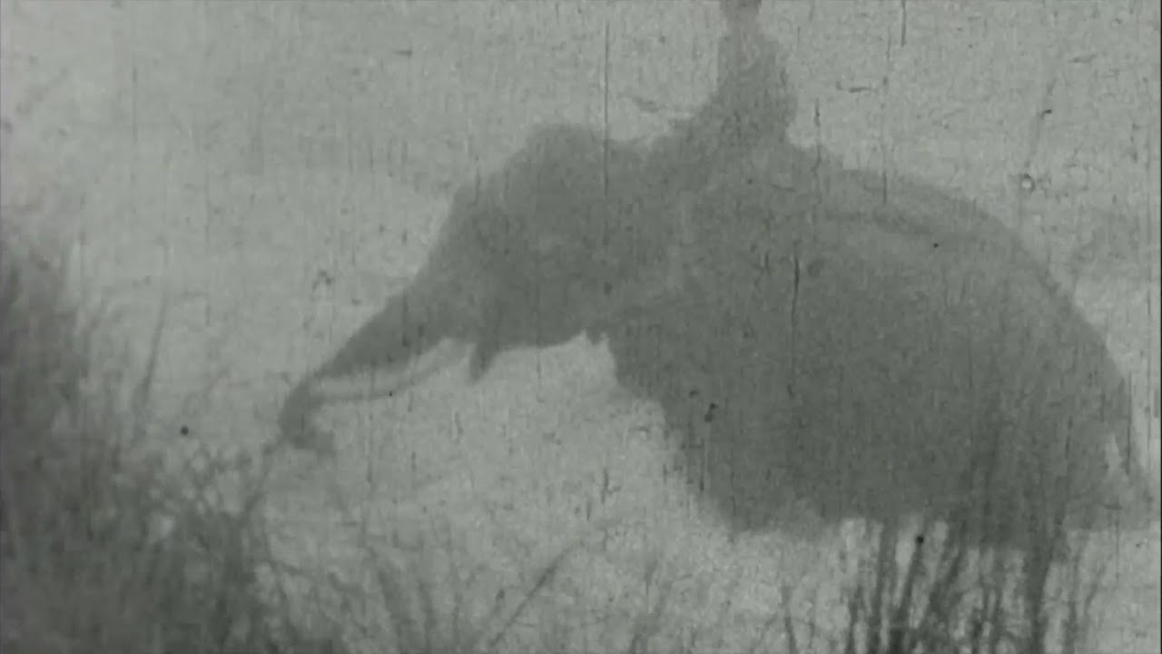 Film 2 redone   Sahapedia Film Montage
